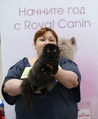 �������� ����� 11-12 ������ 2015, ������������ ���  sfs-59-169A3901 copy.jpg